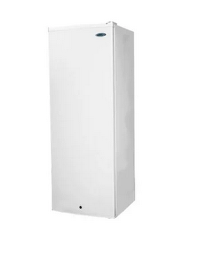 Haier Thermocool 250BS R6 252 Litres Standing Freezer Silver